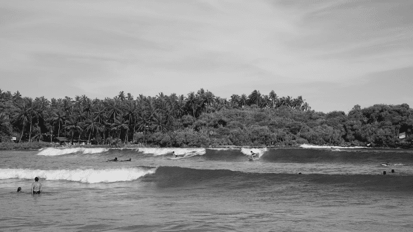 Hirikatya surf black and white